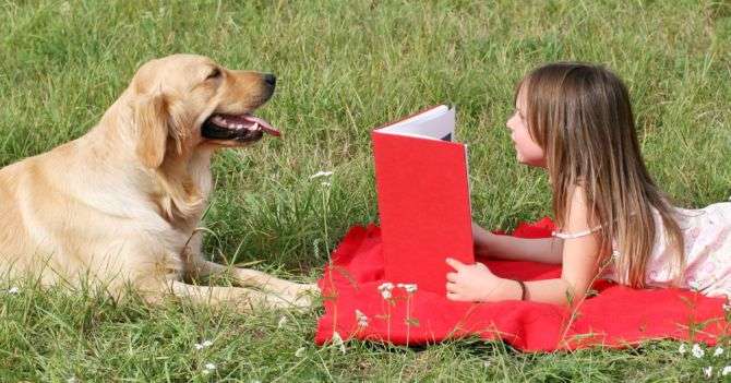 7 интерактивных детских книг, которые невозможно не купить