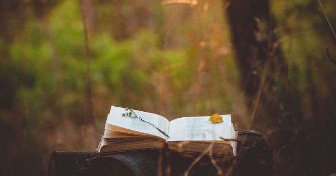 Amore mio: 10 книг из Италии от украинских издательств