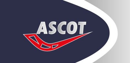 Кросівки Ascot (58 фото): моделі та відгуки про бренд Аскот