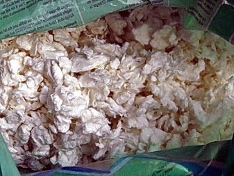 Наповнювачі для гризунів: вибираємо сіно, кукурудзяні і тирсу для підстилки