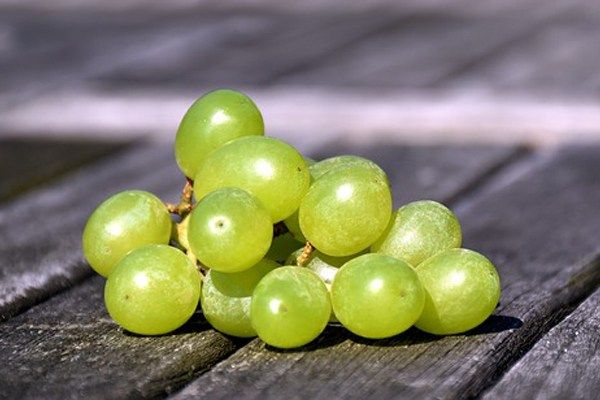 Продукти з високим вмістом гіалуронової кислоти