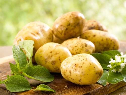 Продукти з високим вмістом гіалуронової кислоти