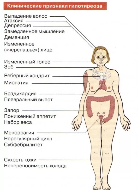 Від чого лущиться і сохне шкіра? Перерахуємо популярні причини і допоможемо їх уникнути