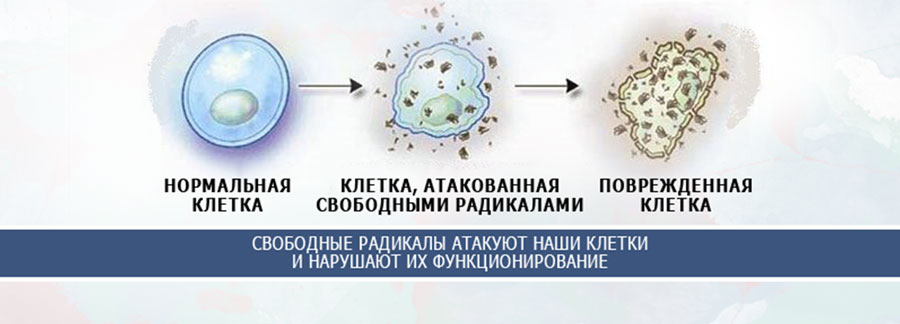 Вільні радикали — головна причина старіння і в’янення шкіри