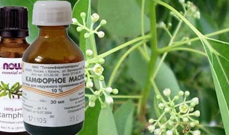 Вкусив кліщ. Що робити якщо немає можливості потрапити до лікаря?